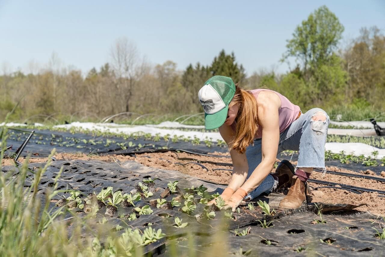 Cover Image for Volunteering for food and shelter